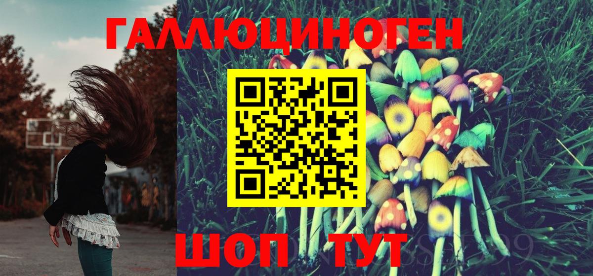 Будённовск  Псилоцибиновые грибы MAGIC MUSHROOMS  Вход с VPN 