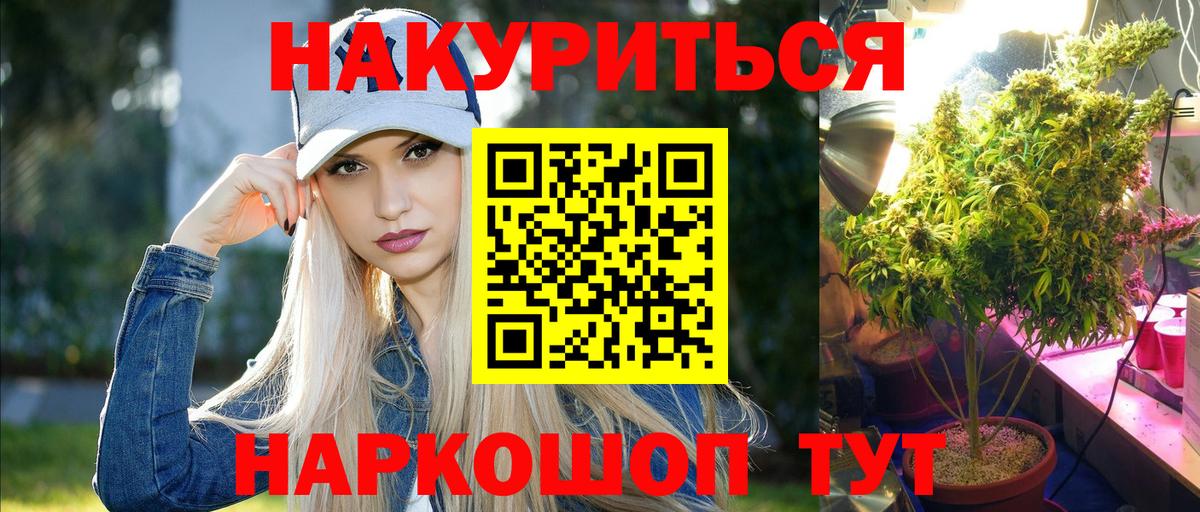 Будённовск  Шишки марихуана марихуана  Канабис конопля  Вход с VPN  Конопля White Widow  Бошки Шишки White Widow 